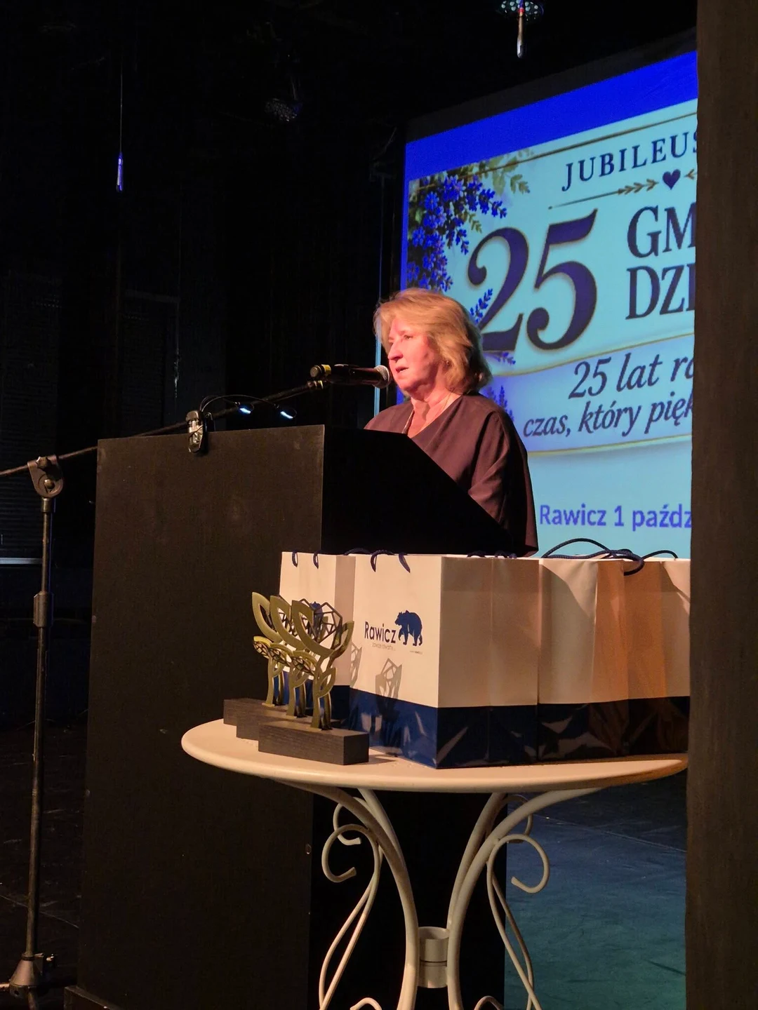 Jubileuszowy 25. Gminny Dzień Seniora w Rawiczu — zdjęcie 7